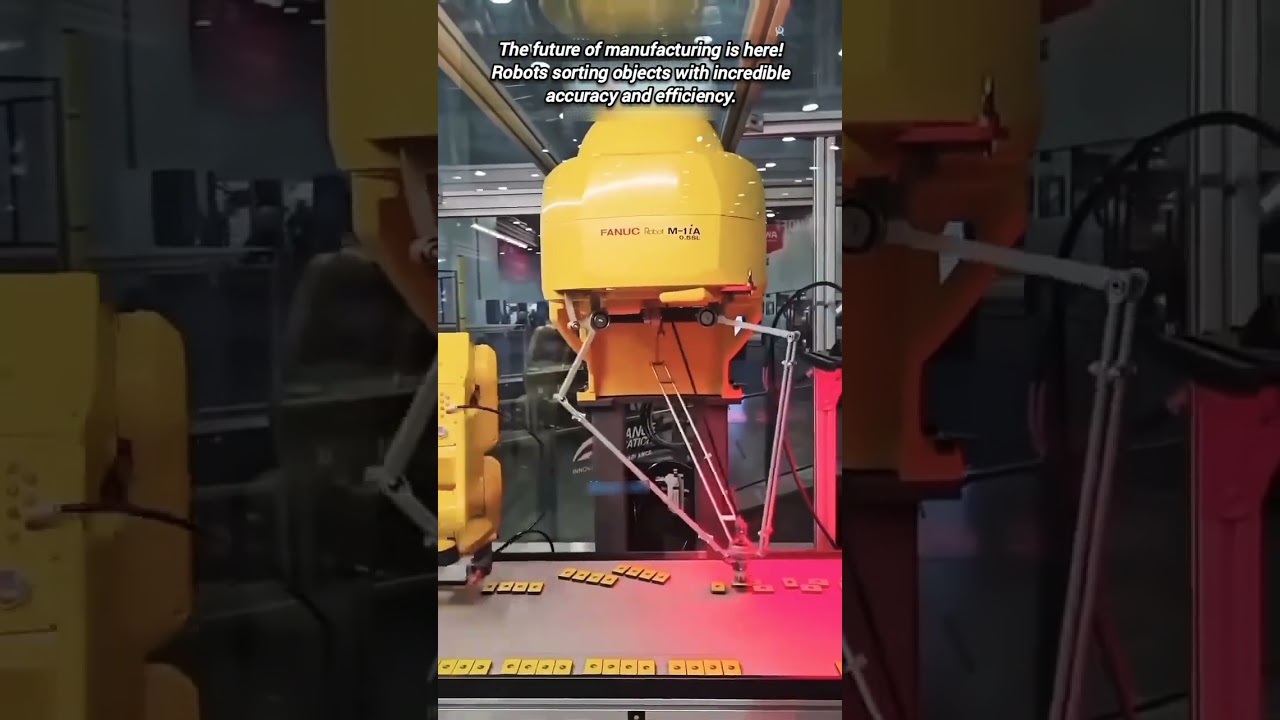 Fastest Robot Sorting System: Precision Pick and Place.