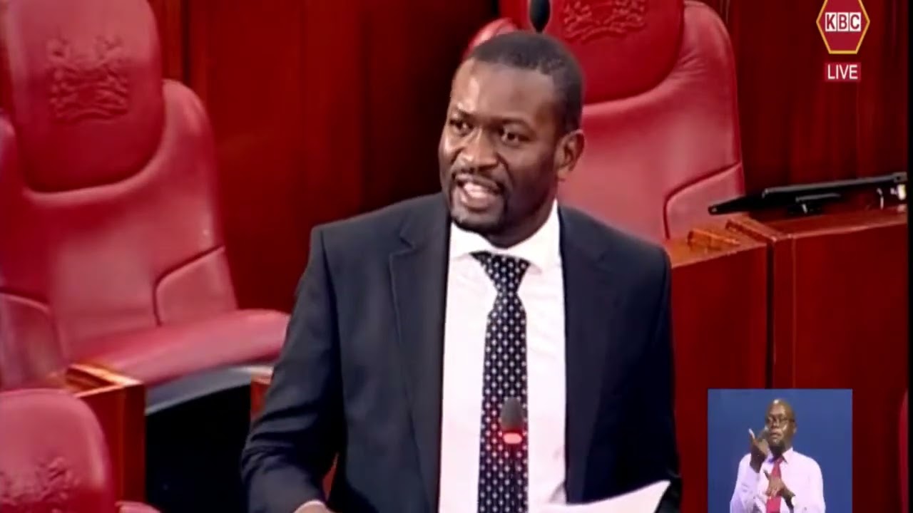 THIS MAN IS GENIUS! CLEVER SENATOR EDWIN SIFUNA SCHOOLS KENYA KWANZA SENATORS ON FINANCE BILL 2024!