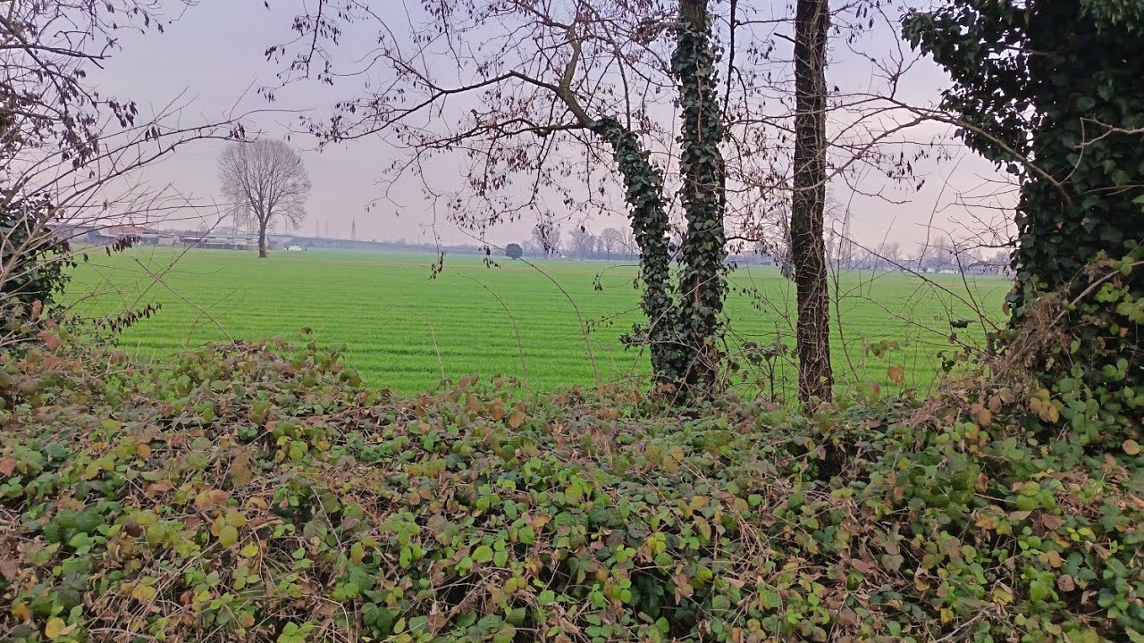 Slow motion Green Nature Relaxation 