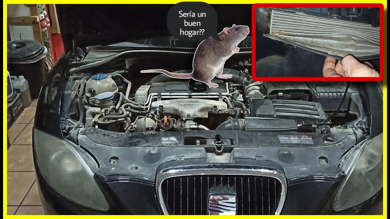 SEAT LEON 2 How to Change OIL AND Oil FILTERS - Fuel - Air and Anti-Pollen