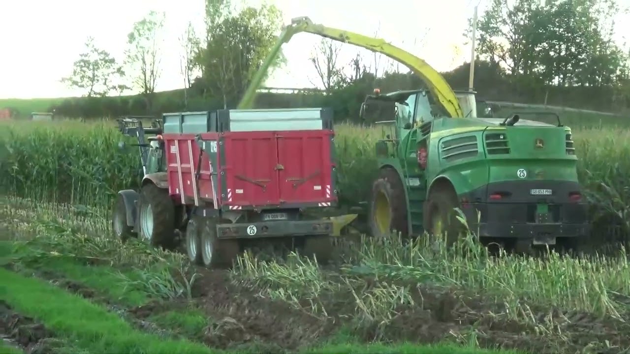 Ensilage mais 2024 avec C Malfant