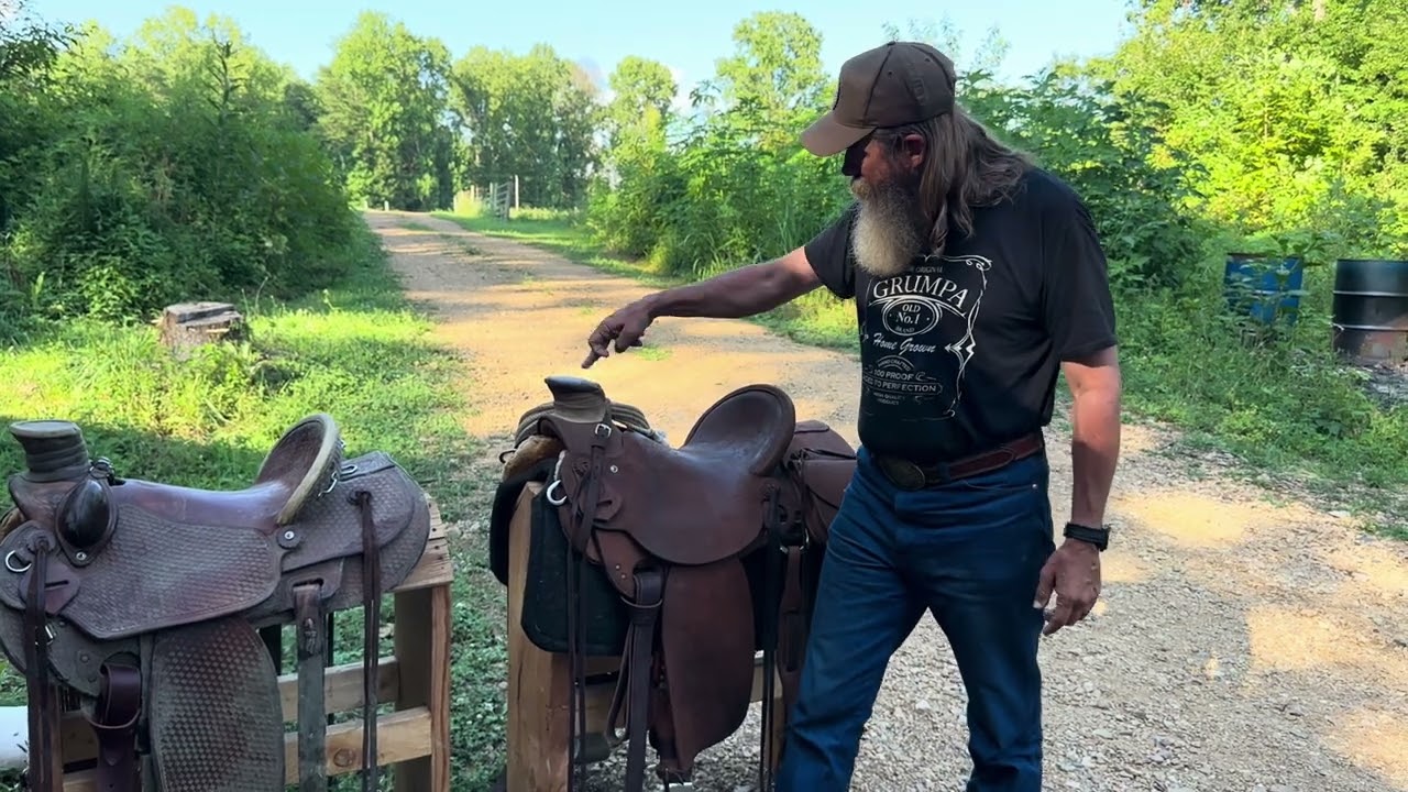 Moldy Saddles