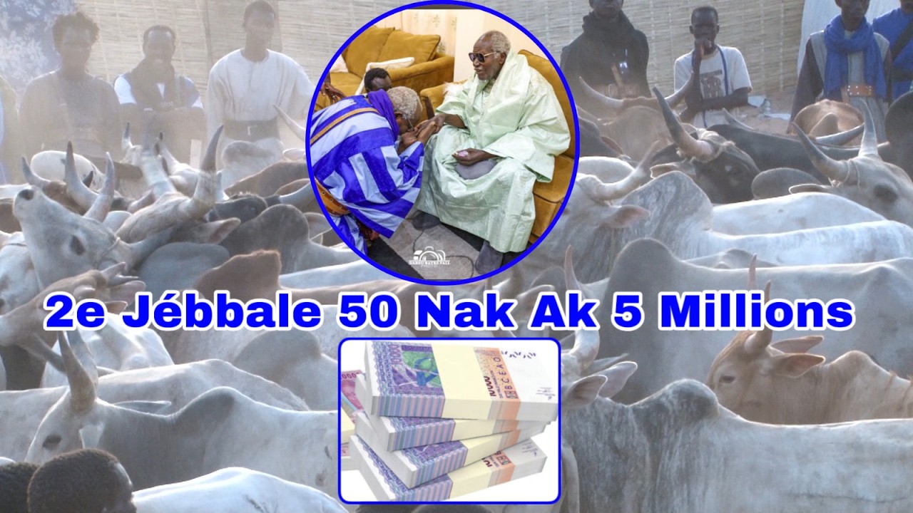 Sëriñ Fàllu Faal moom Sëriñ Móodu Aminta Jébbalaat na Sëriñ Amdi Xadi Faal 50i Nag Ak 5i Milyoŋ.....