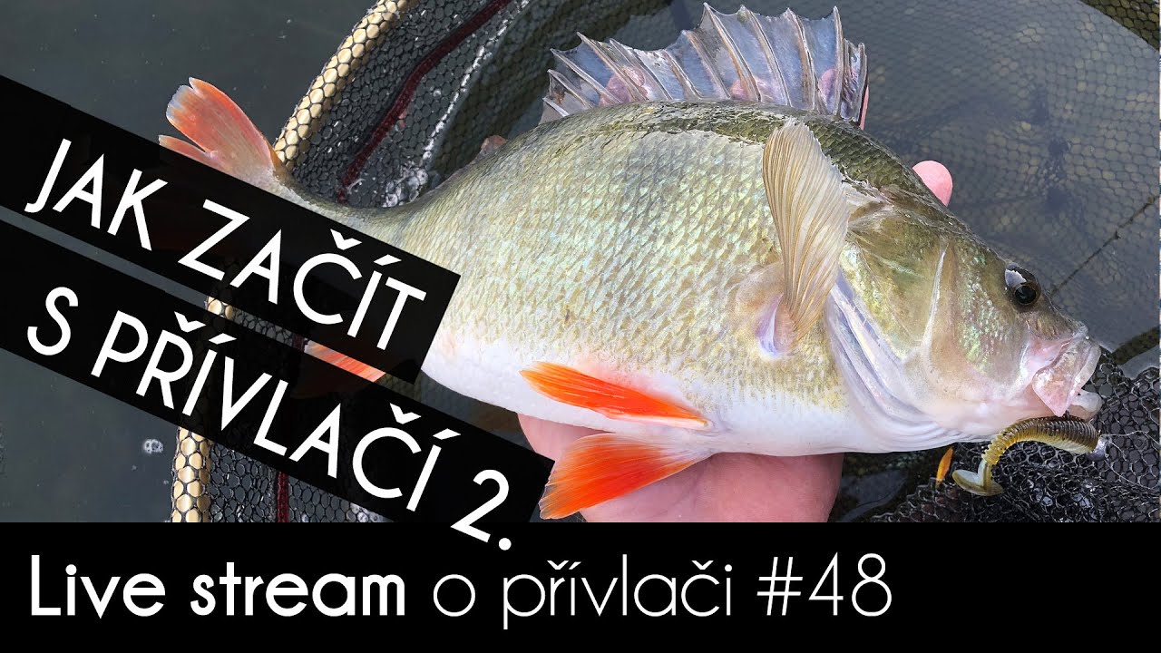 Jak začít s přívlačí 2. | Jak vybrat úspěšnou nástrahu | Přívlač Live #48