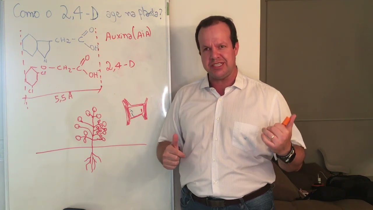 Herbicida 2,4-D. Importante saber