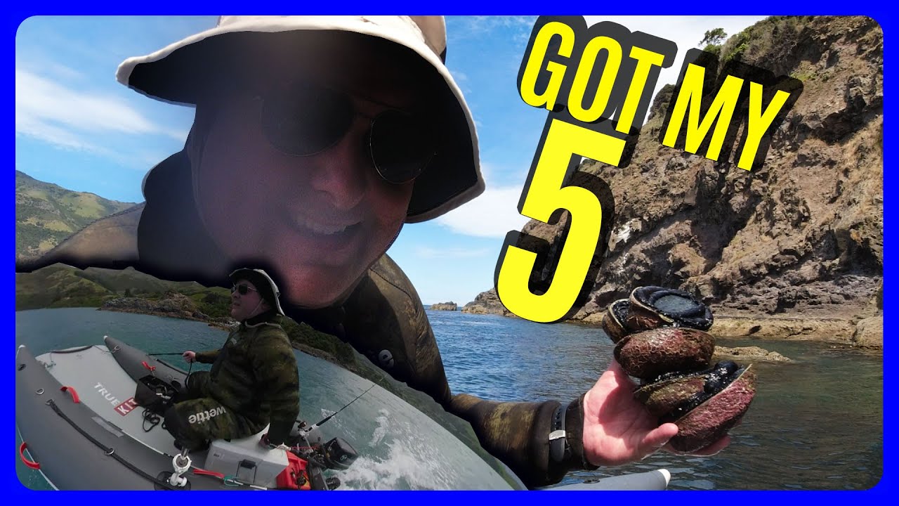 Finally got my 5! Clear water 🦪 PAUA DIVE AKAROA