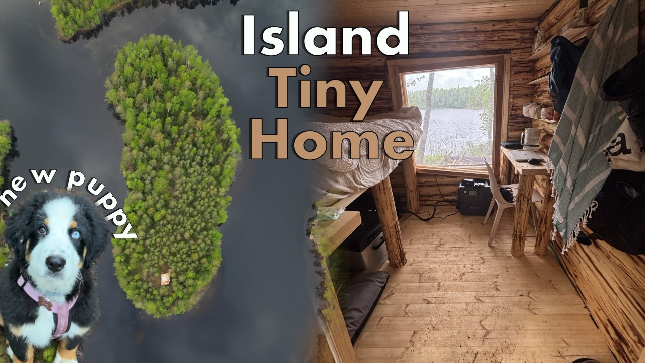 Island Tiny Home Done?! Solar and NEW Puppy! | Building a Mini Log Cabin on Our Island Ep.20
