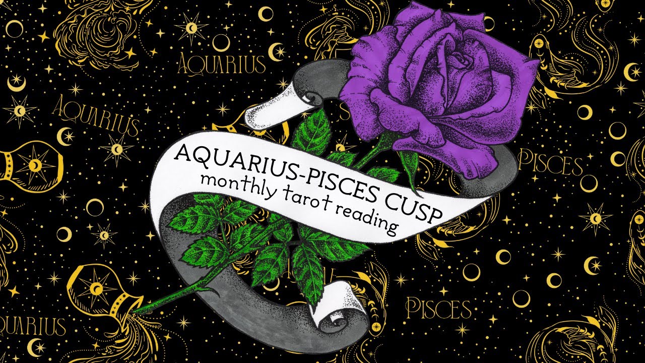 aquarius pisces cusp 𖧷 aquarius season 𖧷 monthly tarot reading 𖧷 2026