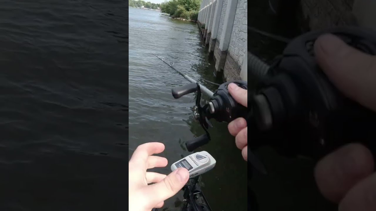 МОЙ САМЫЙ БОЛЬШОЙ ДВОРНИК НА СВЕТЕ! #шорты