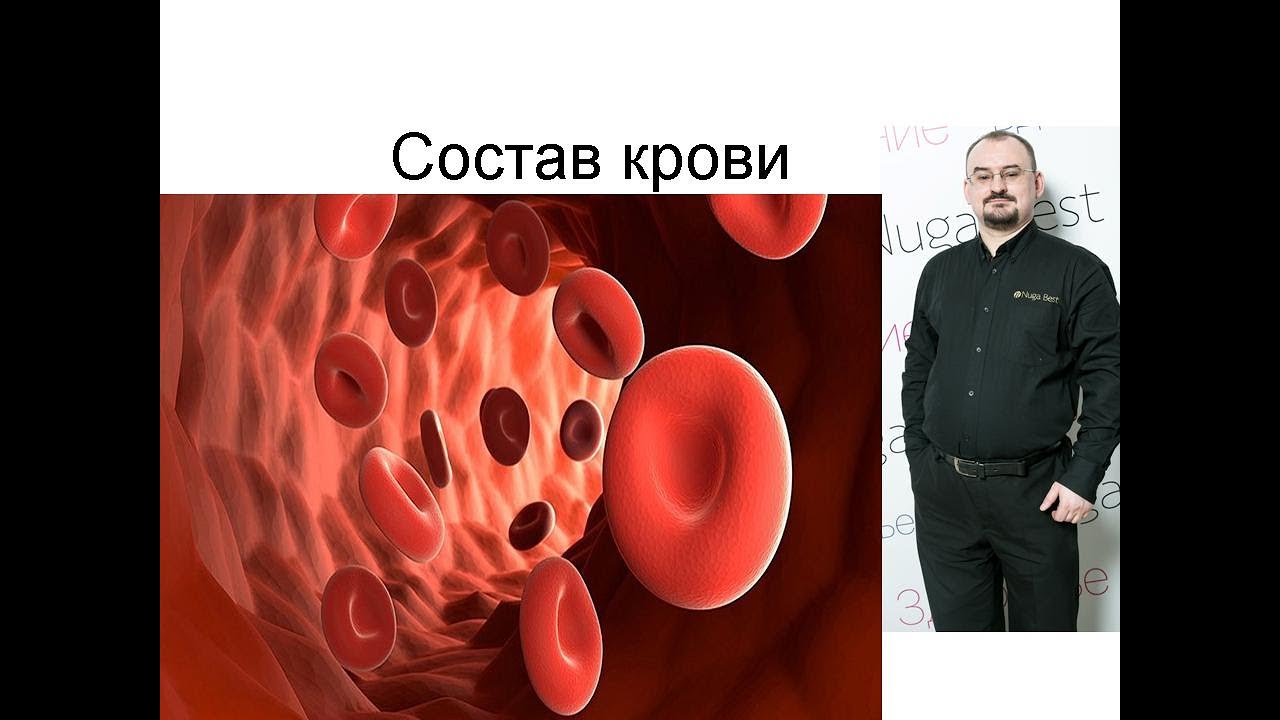 Состав крови