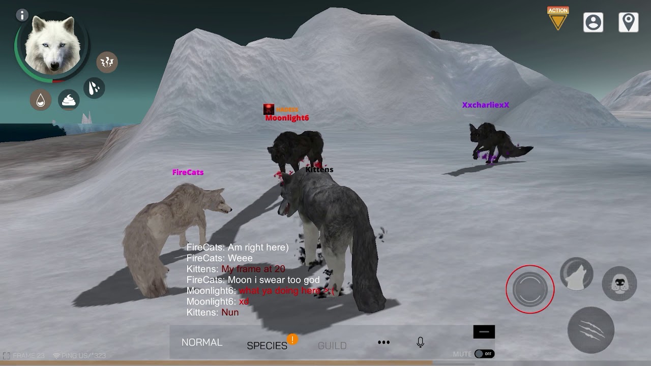Playing With FireCats And Moonlight6 | Wolf Online 2