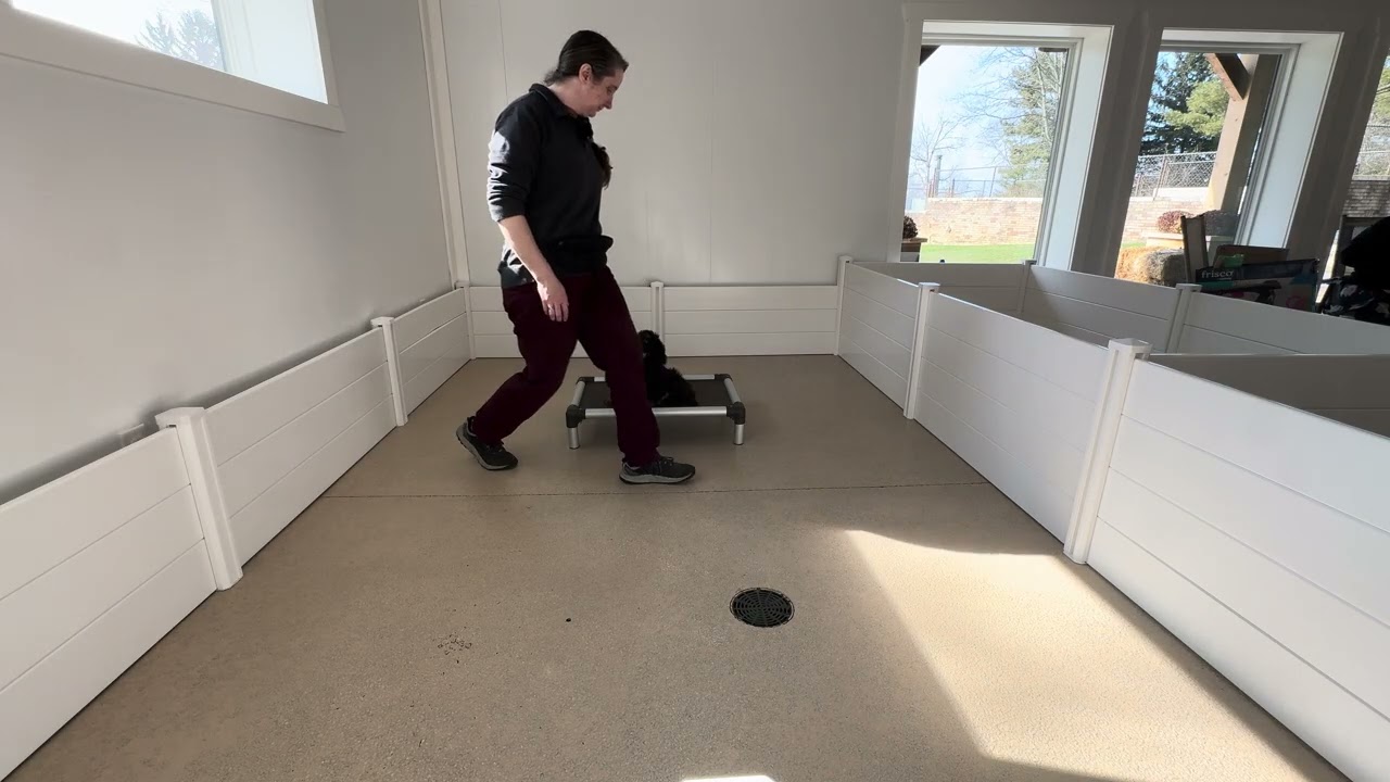 Pablo Stay Training Session 02/17