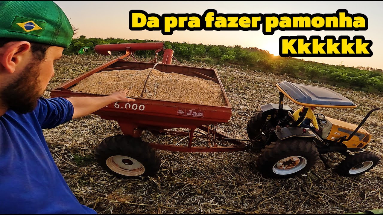 Tivemos que parar a colheita pro vizinho (roçavlog)