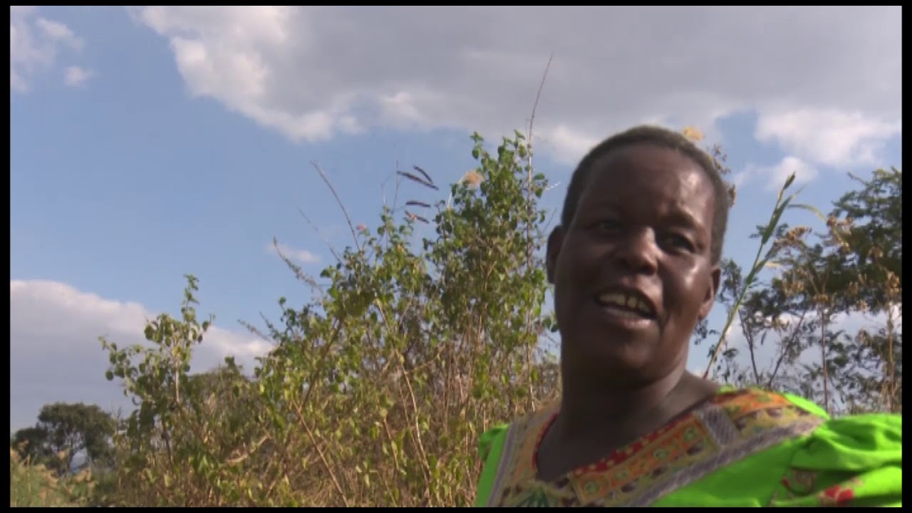 WATCH: Shamva woman cheats death in crocodile attack