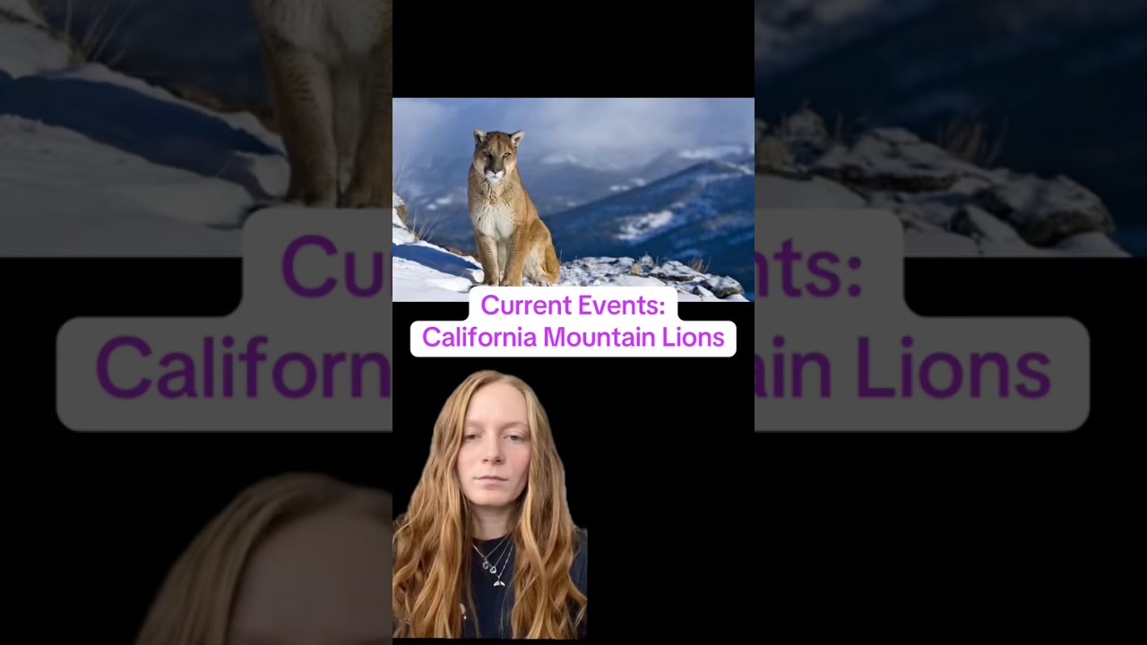 (Somewhat) current events!