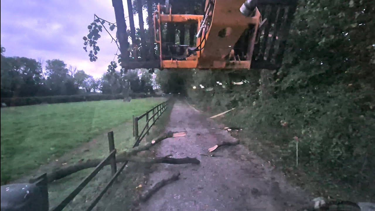 day 47. storm damage (sort of), mucking out and dad's black knots 🥵