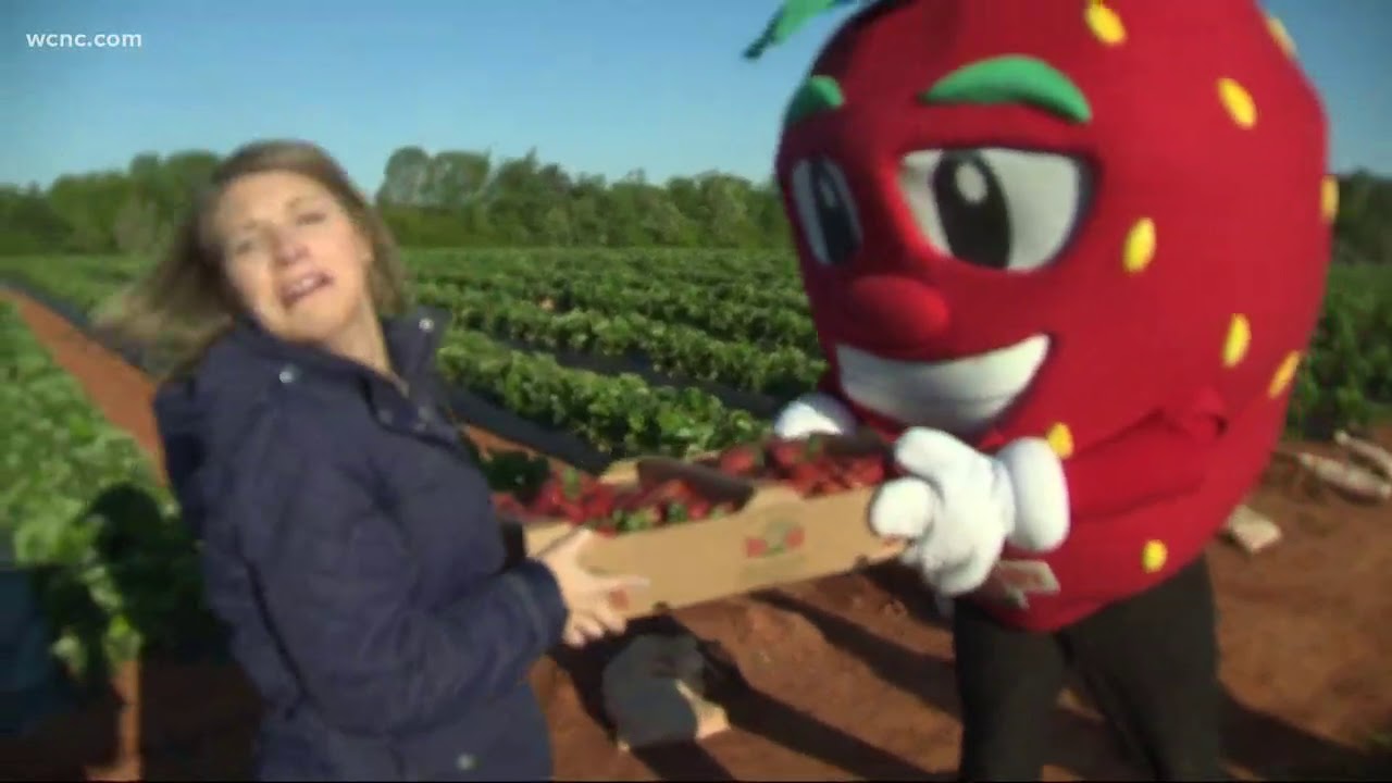 SC Strawberry Festival comes to Fort Mill
