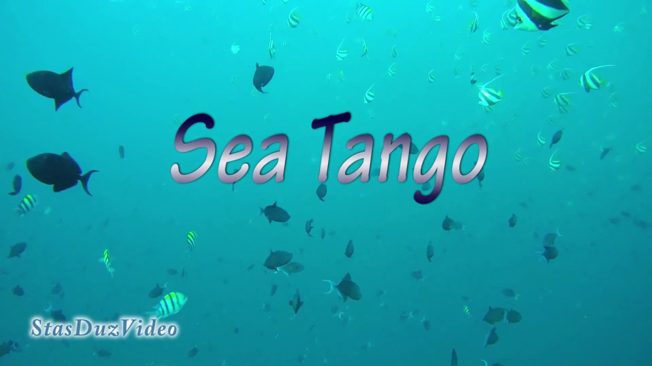Sea Tango