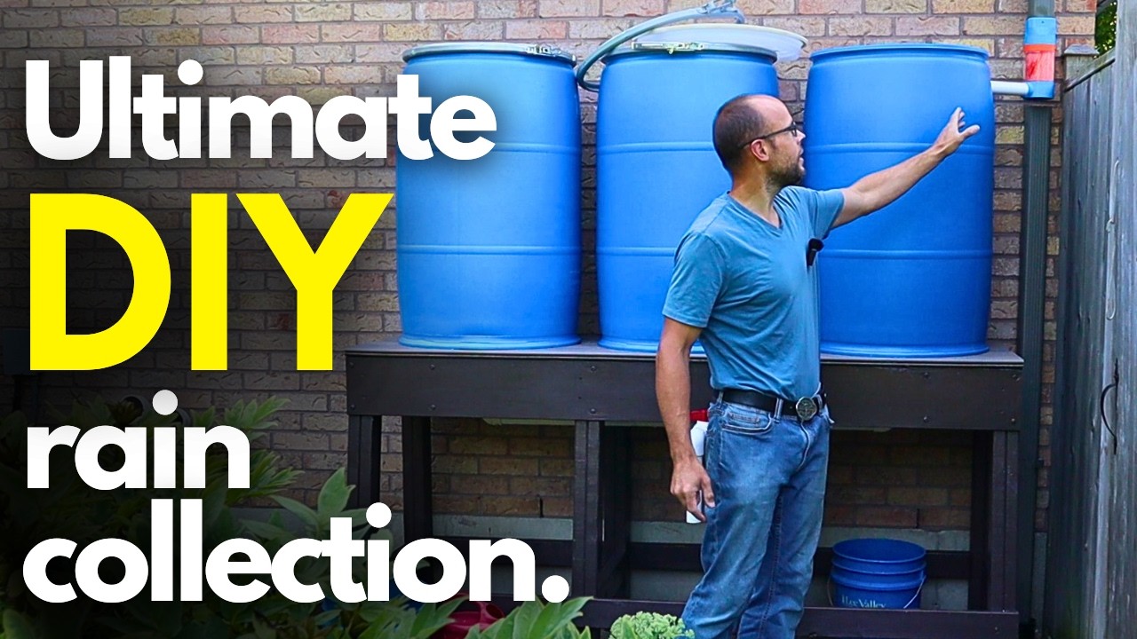 Make your own ULTIMATE DIY rain water collection system at home on a budget