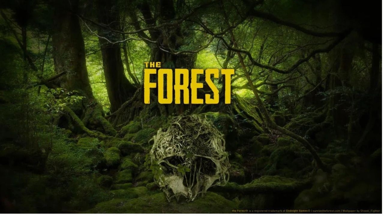 The Forest #1 Zaczynamy przerażającą przygodę!