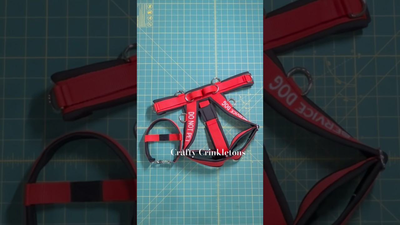 Custom service dog harness! ❤️🖤 