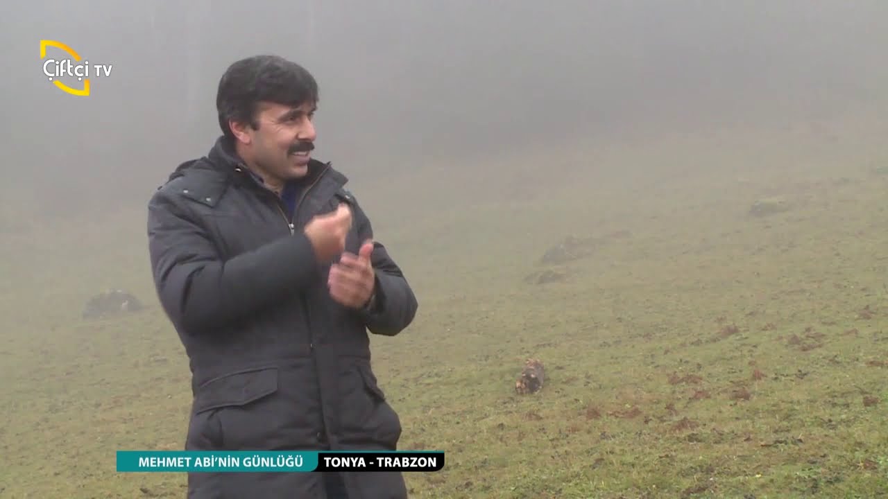 MEHMET ABİ'NİN GÜNLÜĞÜ - TONYA TRABZON - 46. BÖLÜM