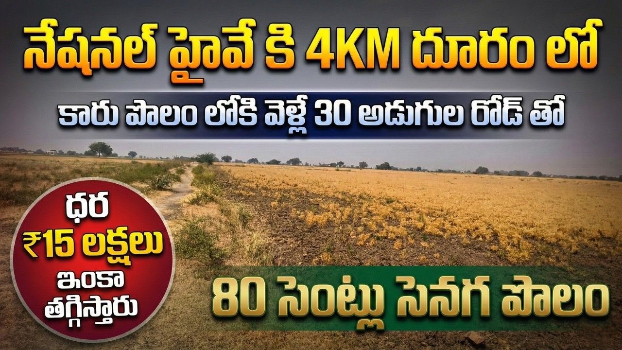 హైవే కి దగ్గర్లో 80 సెంట్లు సెనగ తోట అమ్మబడును| 30 FT రోడ్ | Estateguruaman