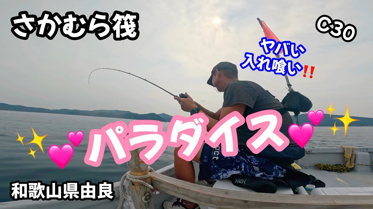 C30【①お魚パラダイスのカセが凄過ぎた💕】さかむら筏in和歌山由良