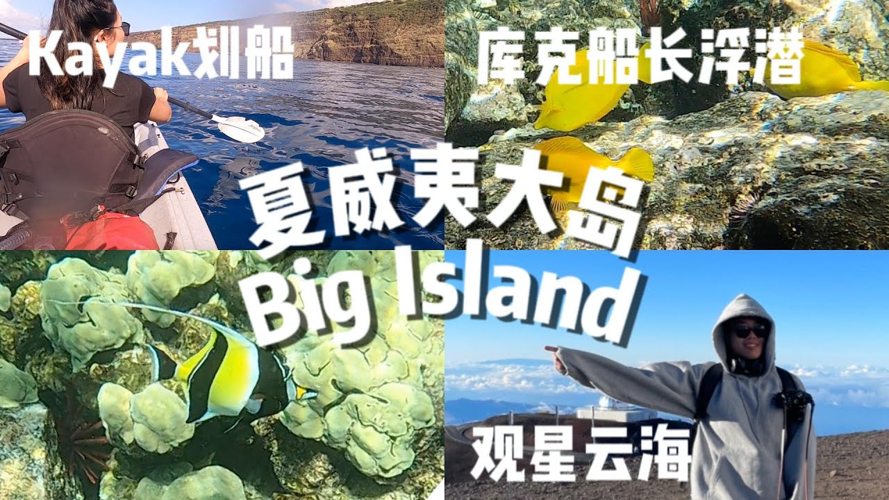夏威夷大岛攻略 Big Island大岛 |  Kayak 划船 | Captain Cook monument 库克船长浮潜 | 海胆和各种热带鱼 | Mauna Kea 看云海和观星