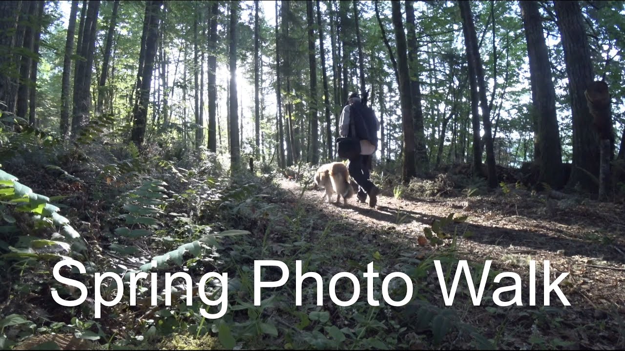 Seeing Monochrome | A Nature Photography Photo Walk