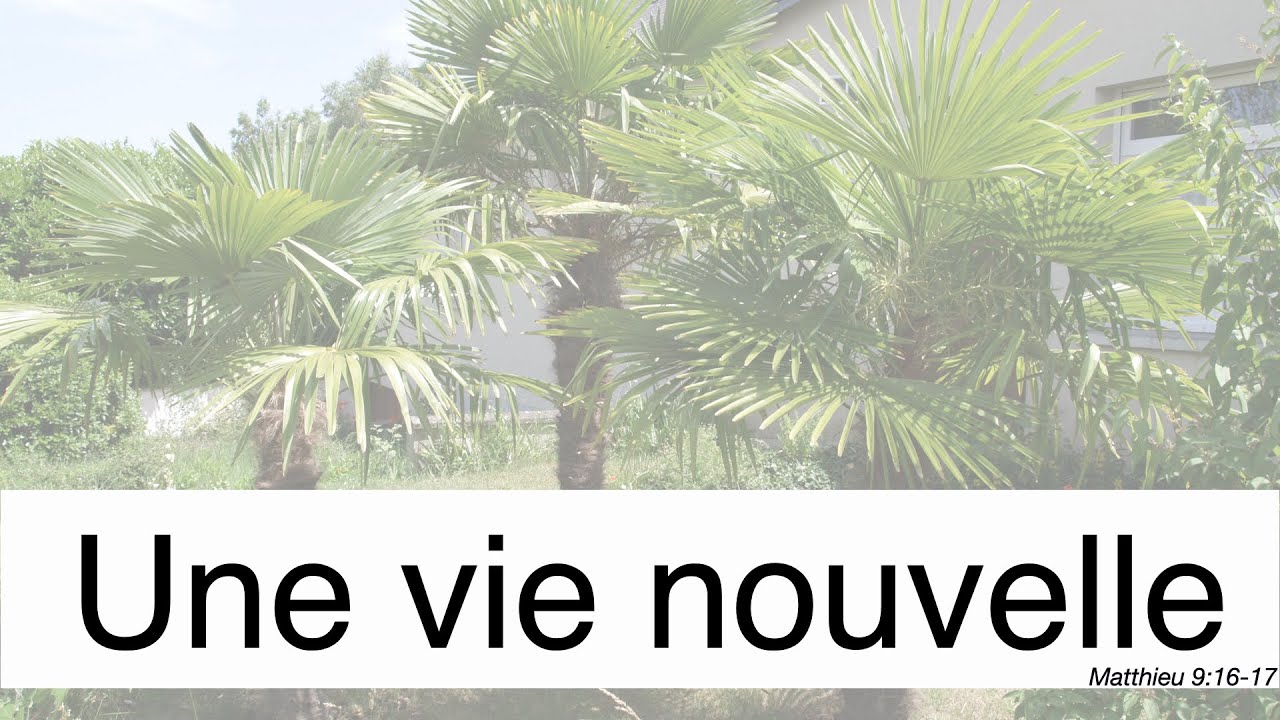 Dimanche le 1 février 2026 - Matthieu 9:16-17