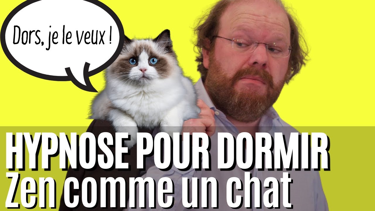 Séance d'hypnose pour dormir zen, comme un chat 2