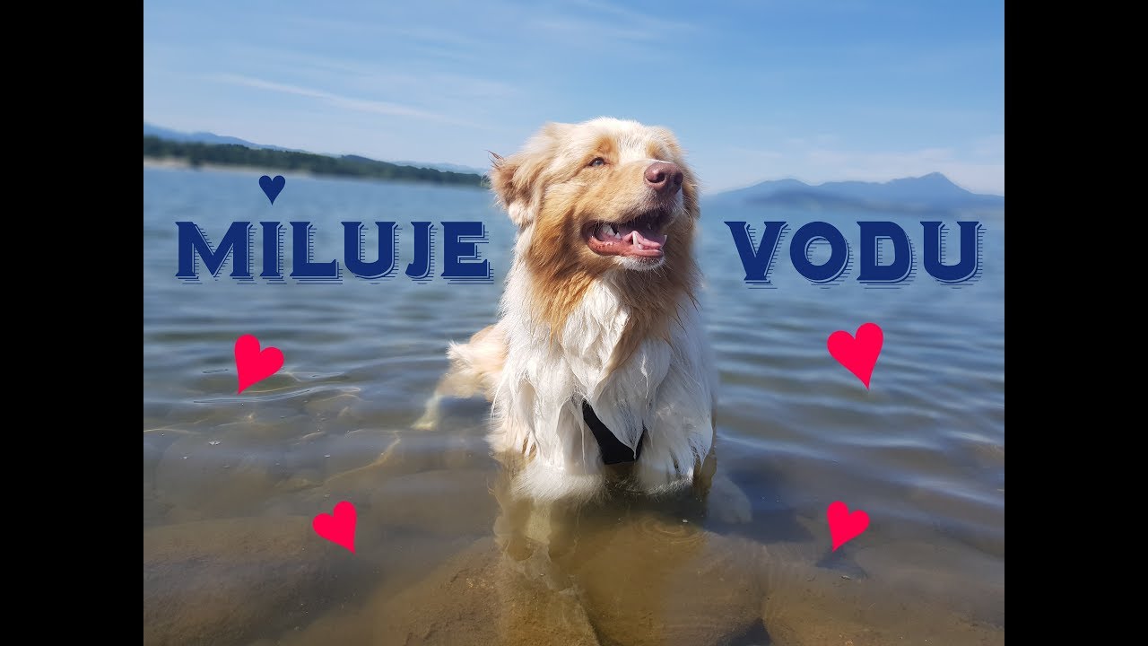 Celý deň pri vode!