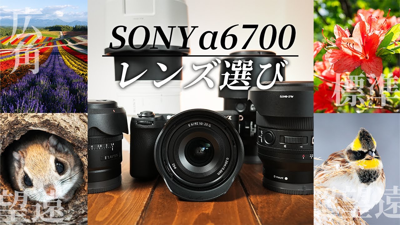 【オススメ５本】SONYα6700用レンズの選び方！キットレンズSEL18135ってどう？