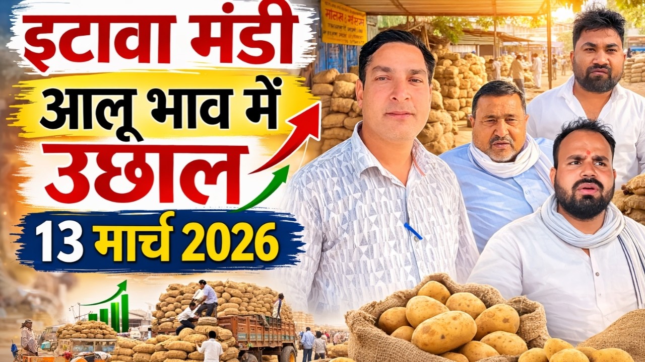 इटावा मंडी में आलू भाव में जबरदस्त उछाल 🔥 | आज का आलू रेट 13 मार्च 2026 | Etawah Mandi Aloo Bhav