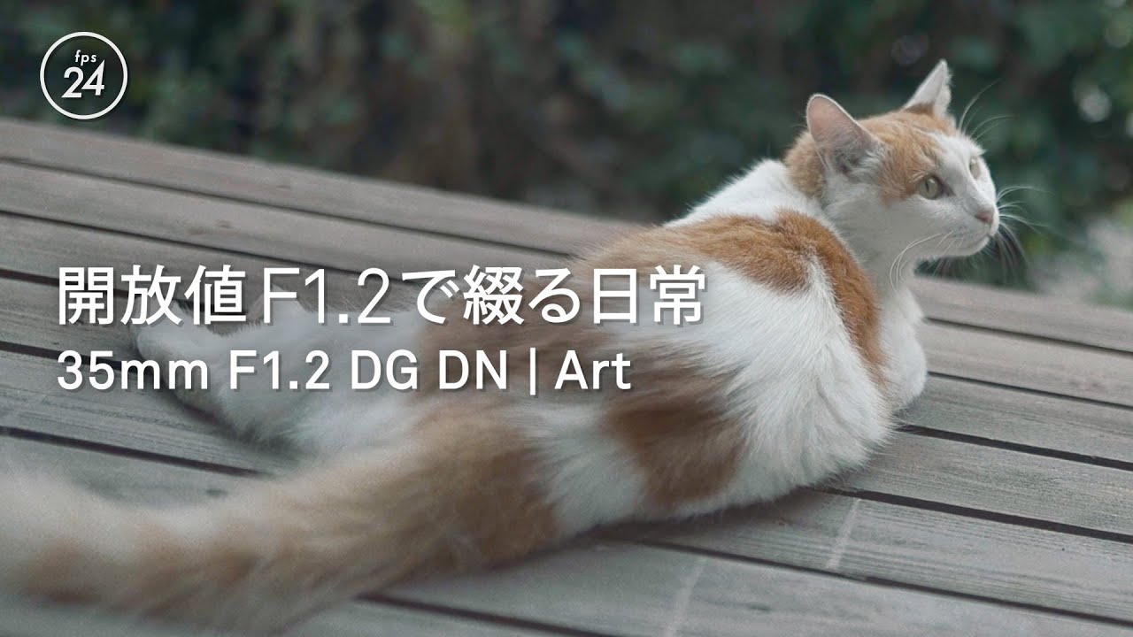 fps24 × SIGMA　開放値F1.2で綴る日常　SIGMA 35mm F1.2 DG DN | Art の世界