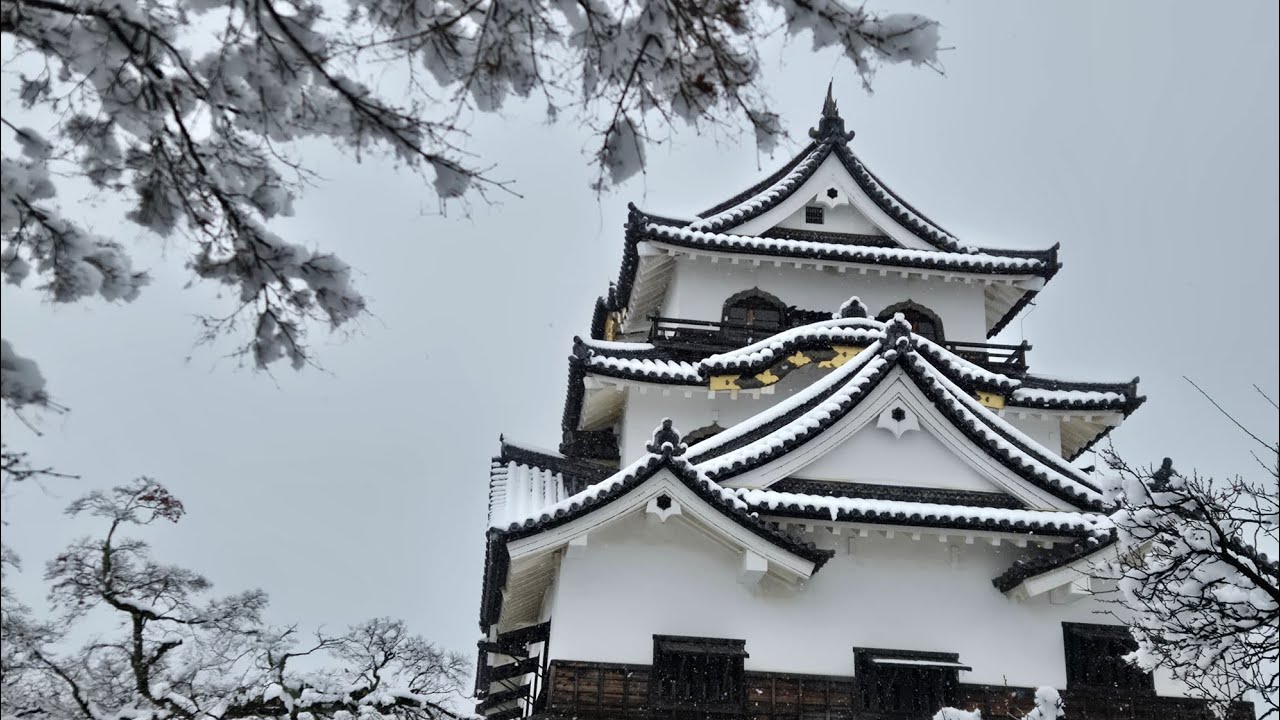 ひこにゃん、彦根城の雪景色