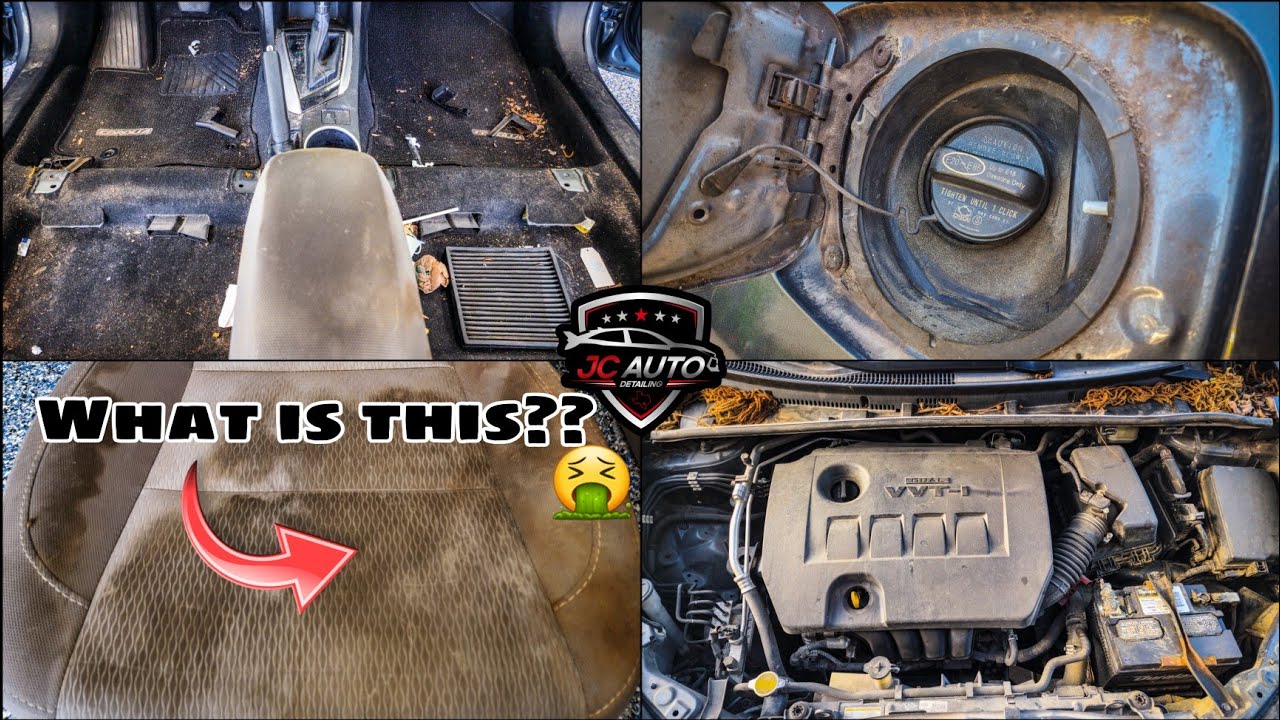 Can This Smoker's Car Be Brought To Life Again?? | Deep Cleaning A NASTY Toyota Corola!!