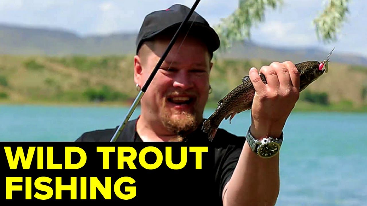 Wild TROUT FISHING In Caucasian Mountain Rivers