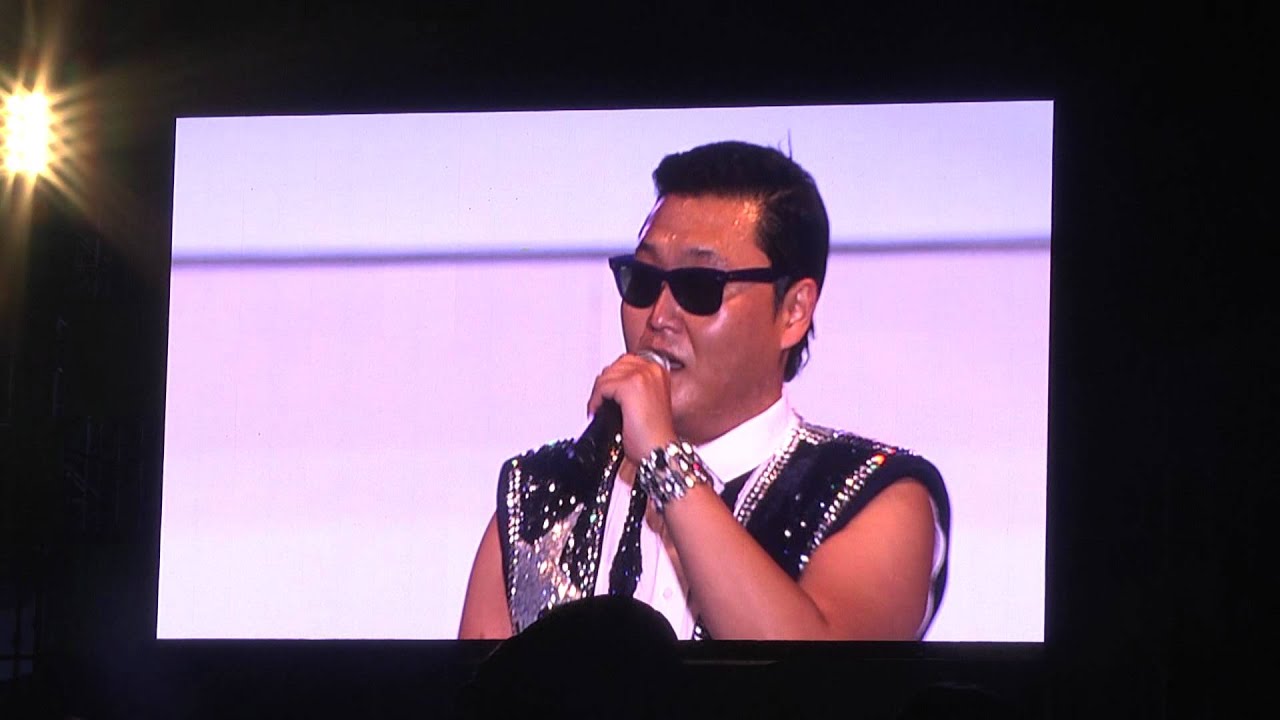 Psy- Entertainer @ SC Bank Picnic 2   싸이 SC단합대회 : 연예인