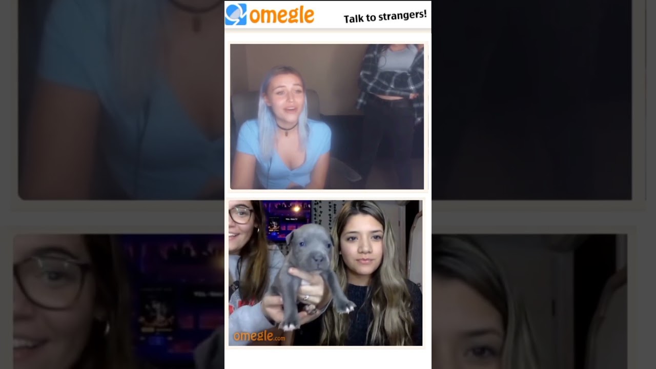 People Crushing on Fake Omegle Girl #omegle #omegletrolling #omeglefunny