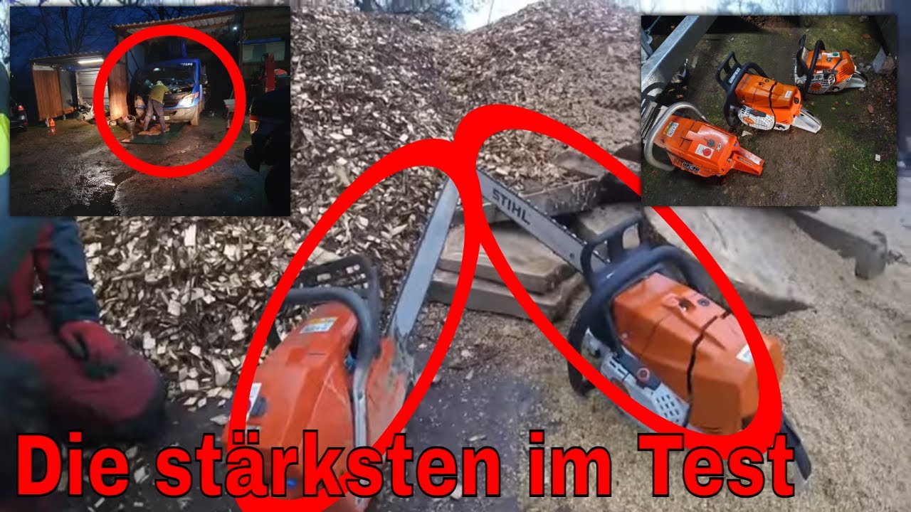 Die stärksten Sägen im Test | Baumpflege Mertens