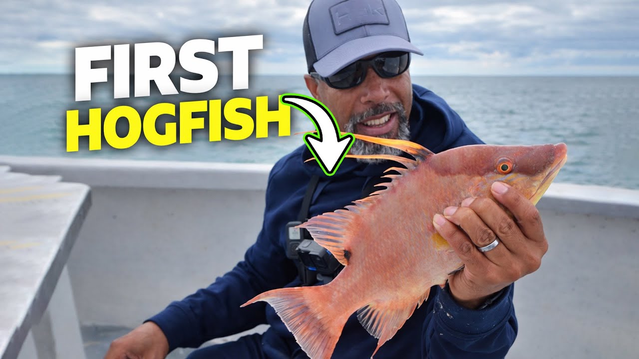 Незабываемая рыбалка в заливе Тампа: поймайте рыбу, которая обязательно должна быть в вашем списк...