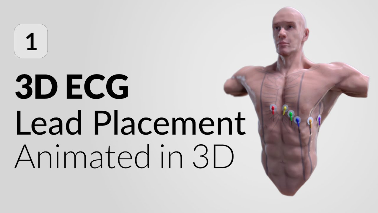 Размещение электродов ЭКГ в 3D | Мобильное приложение 3D ЭКГ