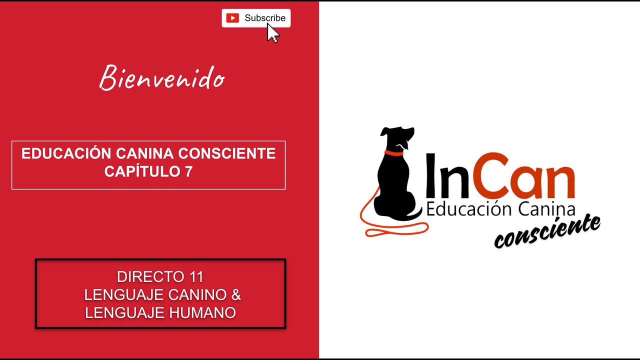 Comunicaci&oacute;n canina & humana. Educaci&oacute;n canina consciente y realista