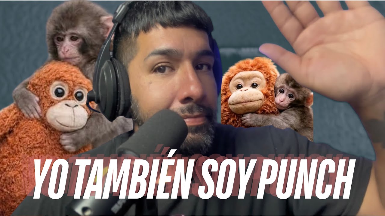 La historia del mono que fue abandonado por su madre. #punch 