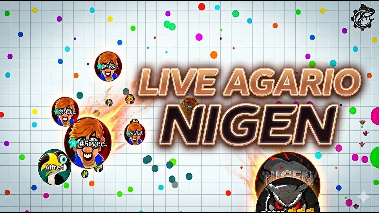 Live NiGen AGAR.IO🔥❤️بث نيقن اقاريو - حياكم جميعا
