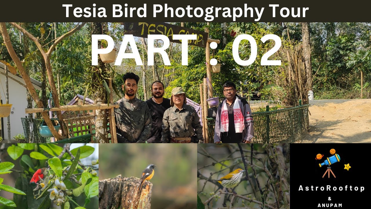 Bird Photography tour at Tesia Camp Assam Part 2