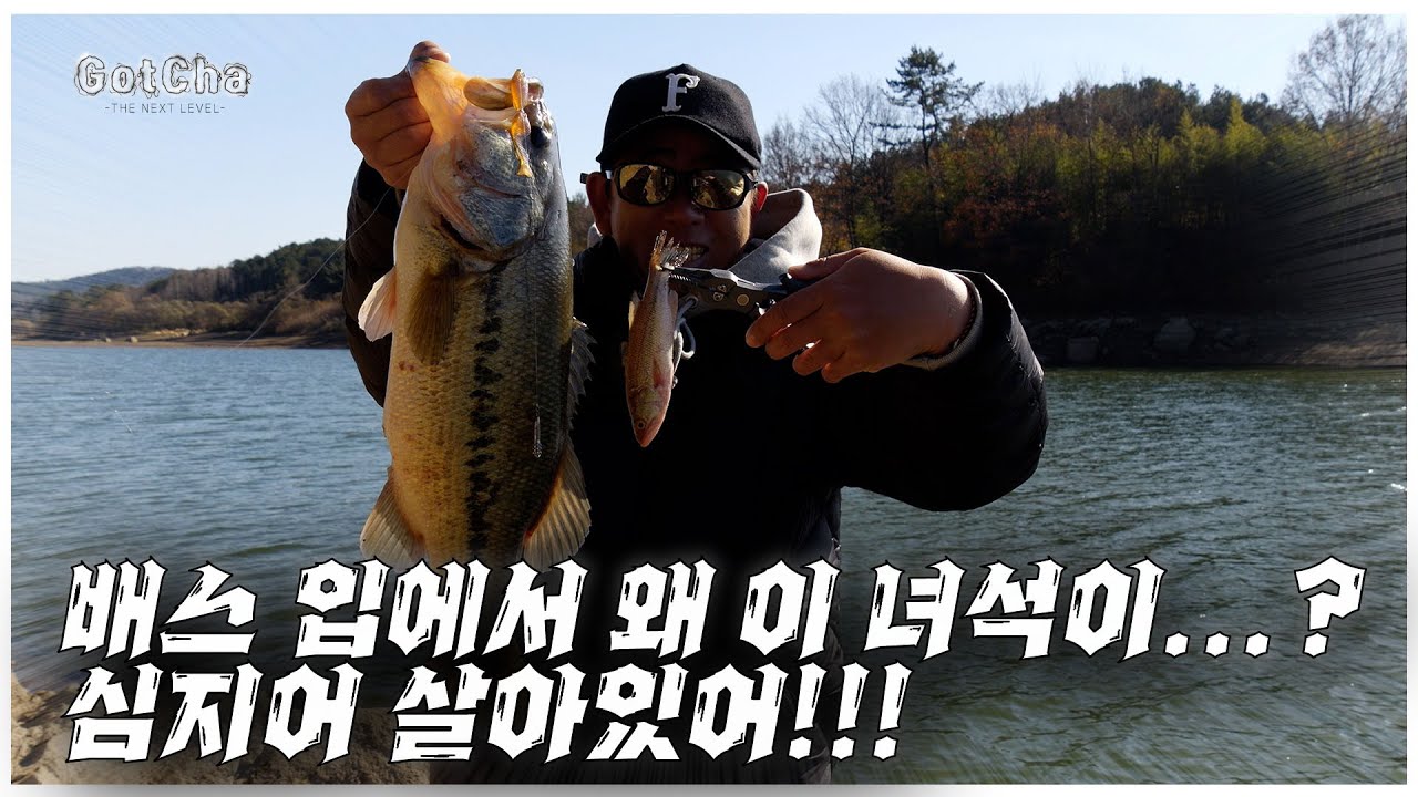 배스들이 환장하는 필살기부터 초필살기까지!feat. 박성완 )