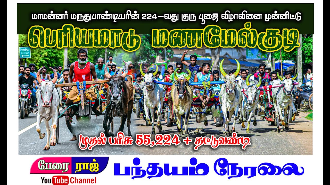 🛑LIVE மணமேல்குடி பெரியமாடு (15.11.2025) Manamelgudi Periyamadu #Perai_raj_digital